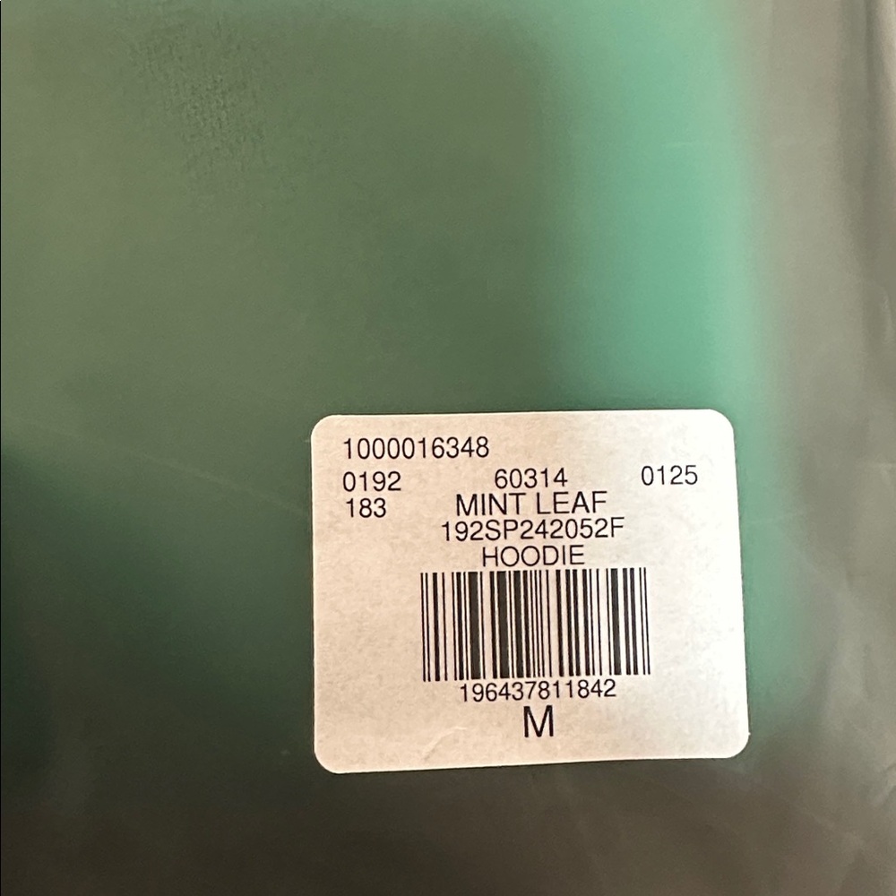 Fear of God ESSENTIALS 2024 Mint Leaf Hoodie M NWT FW24 - Picture 8 of 8